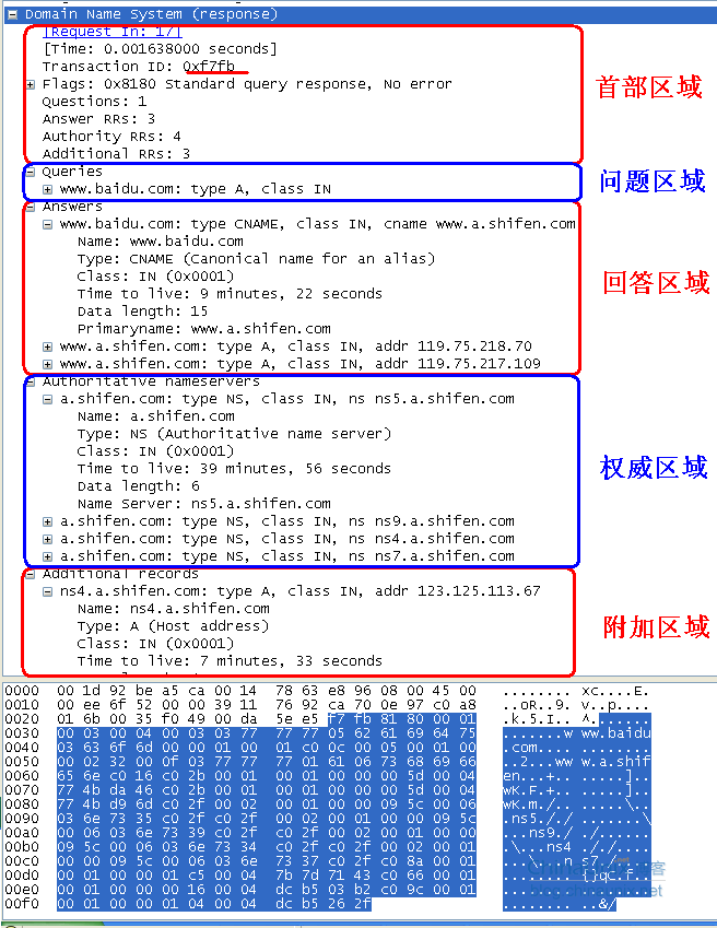 wireshark域名查看 wireshark显示域名_TCPIP_08