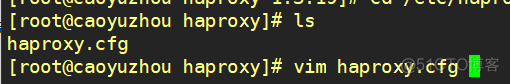 查看 haproxy 安装路径 haproxy -f_服务器_05