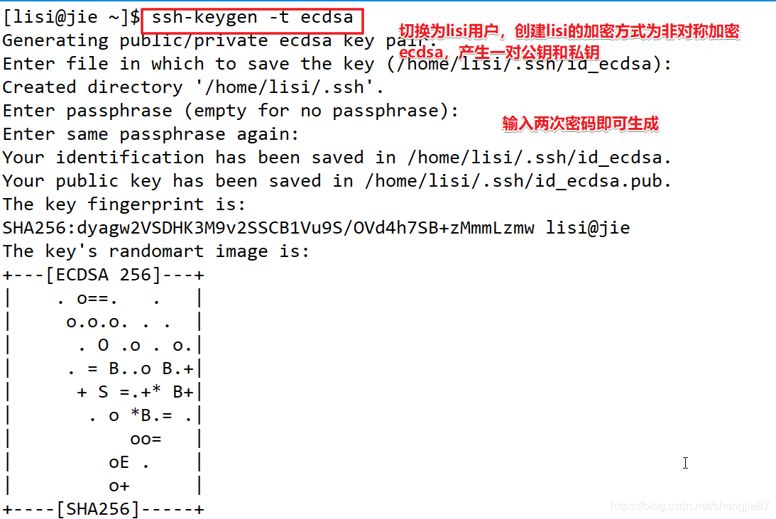 centos bash 设置 centos8ssh_ssh