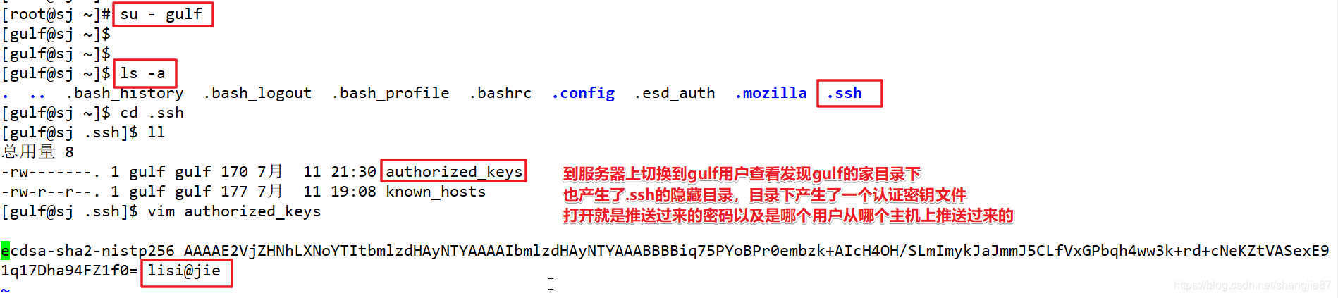 centos bash 设置 centos8ssh_ssh配置_05