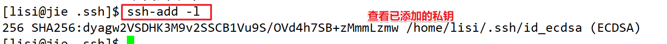 centos bash 设置 centos8ssh_ssh_09