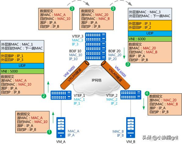 bd和vlan bd和vlan的区别_UDP_08