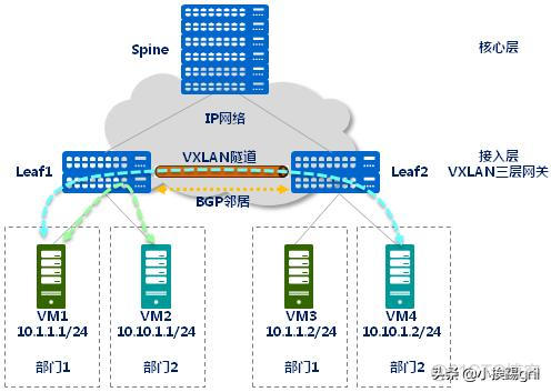 bd和vlan bd和vlan的区别_封装_12