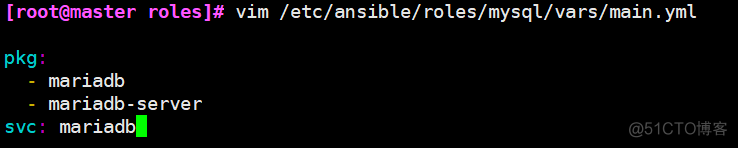 ansible剧本执行shell ansible剧本编写_vim_36