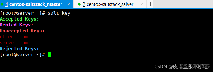 saltstack grains 配置文件 saltstack管理windows_ruby