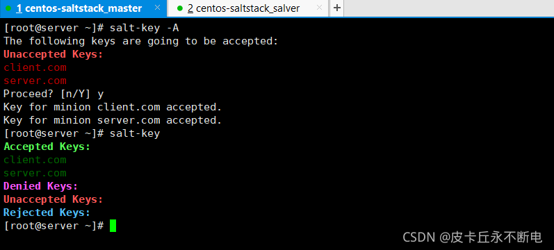 saltstack grains 配置文件 saltstack管理windows_ruby_02