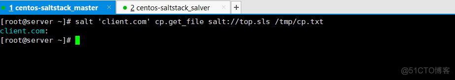 saltstack grains 配置文件 saltstack管理windows_python_10