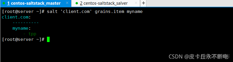 saltstack grains 配置文件 saltstack管理windows_vim_13