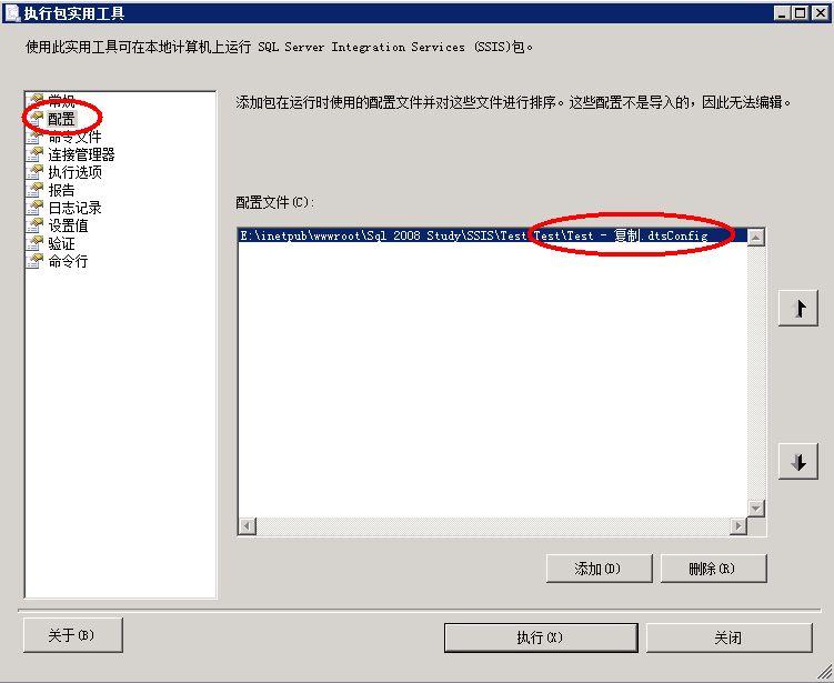 Integration Services integration services scale out_SSIS_17