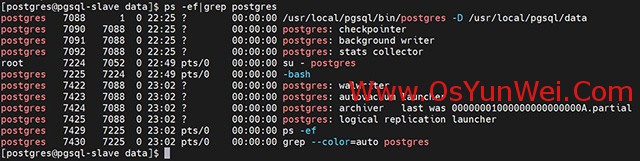 postgres 主从失败 pgsql主从_数据库_03