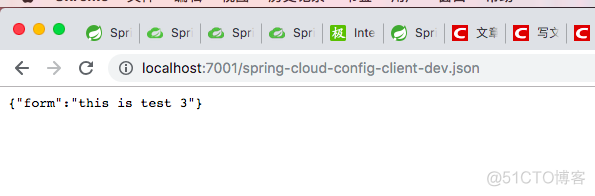 springcloudconfig 本地配置 springcloudconfig原理_git_06