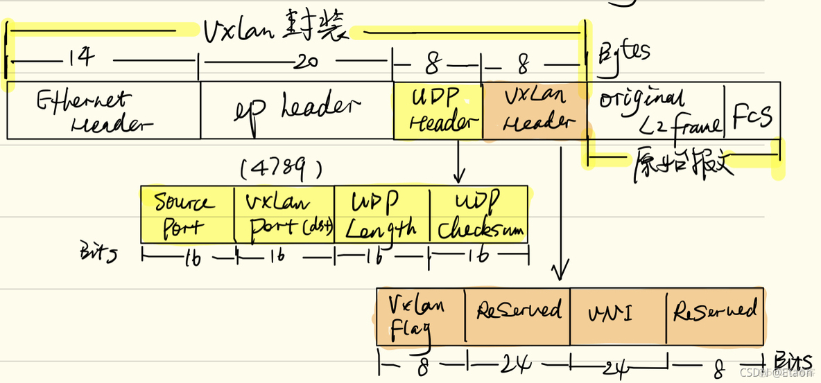 ovs vxlan隧道实验 sw vxlan隧道封装_IP