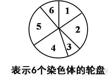 遗传算法对公式中的权重进行调整 遗传算法的主要参数_编码方式_04