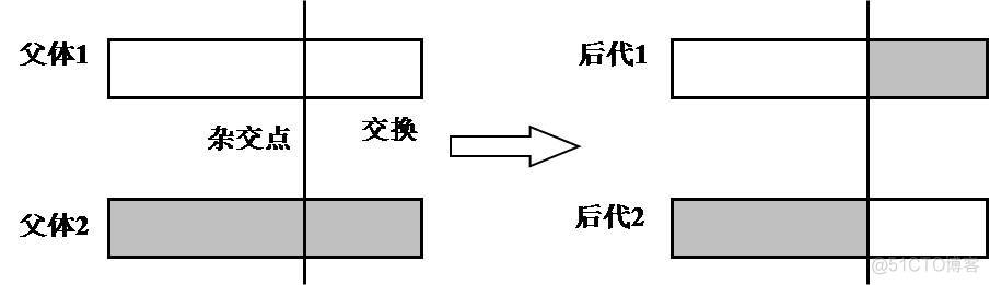 遗传算法对公式中的权重进行调整 遗传算法的主要参数_遗传算法对公式中的权重进行调整_06