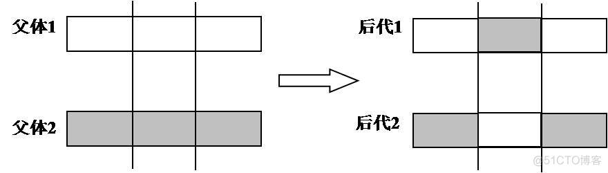 遗传算法对公式中的权重进行调整 遗传算法的主要参数_遗传算法_07