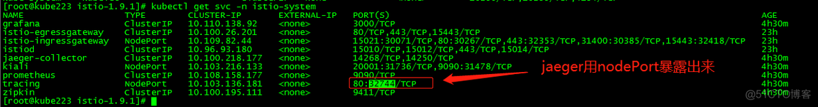 istio 官网 istkunst中国官网_环境变量_12