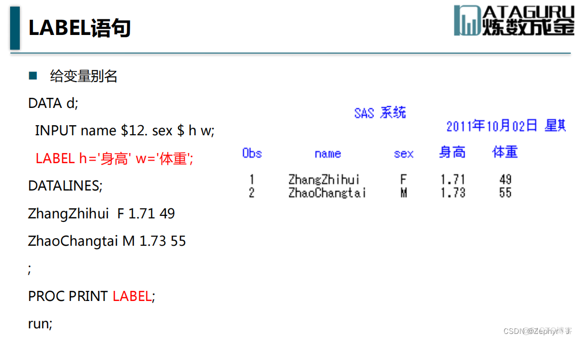 SAS 中的DATALINES sas data input_SAS 中的DATALINES_29