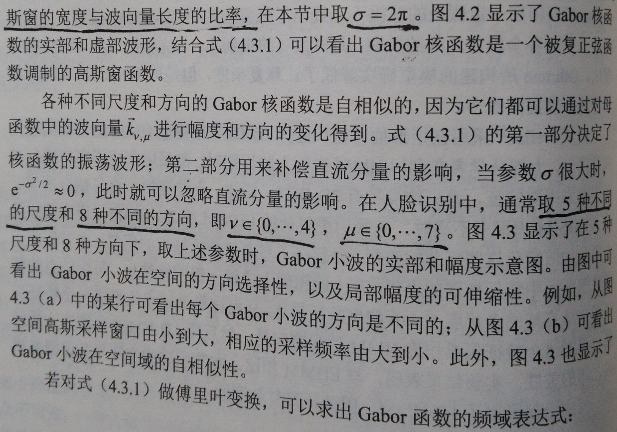 gabor滤波对指纹图像增强 gabor滤波器 提取特征_二维_04