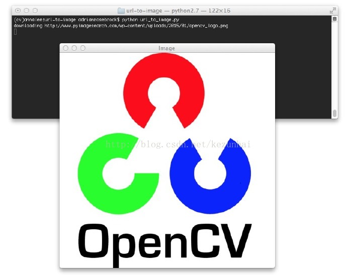 opencv 图片黑色转白色 opencv转换图片格式_url-to-image_03