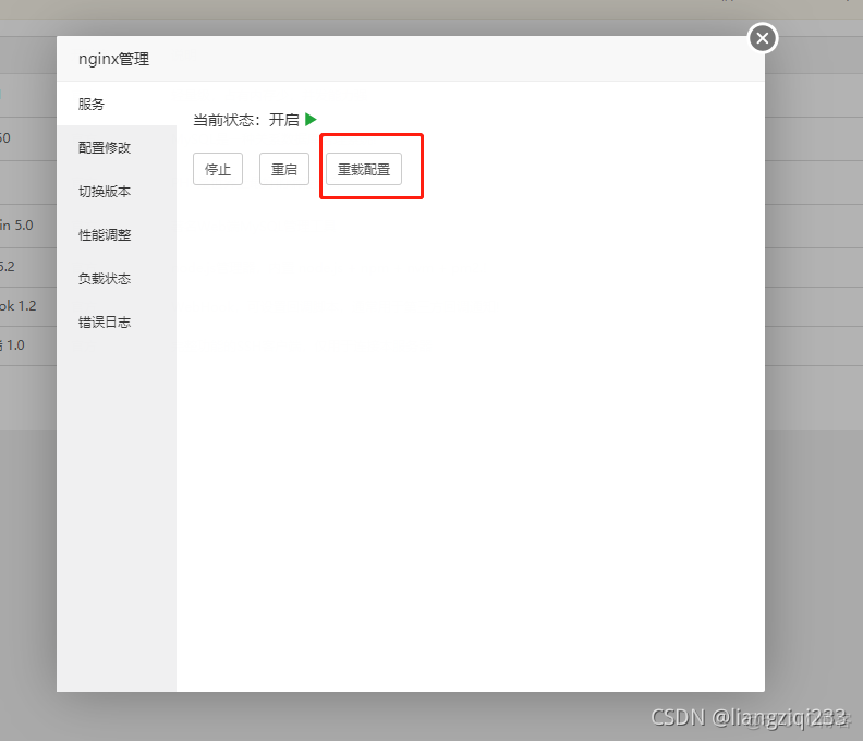 宝塔面板部署项目maven 宝塔面板部署nodejs项目_vue_10