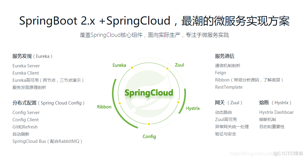 spring cloud vue实战 pdf springcloud教程_服务端