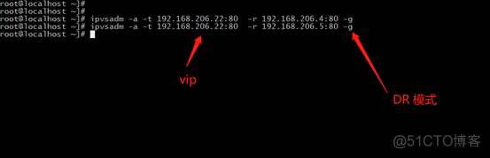 vs disassembler在哪 vs/dr_IP_06