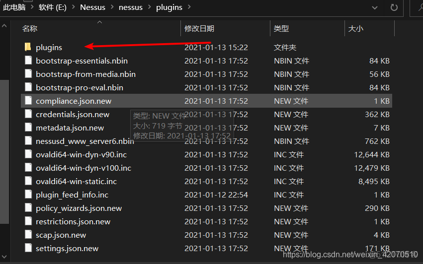 nessus安装使用 nessus windows安装_nessus安装使用_14