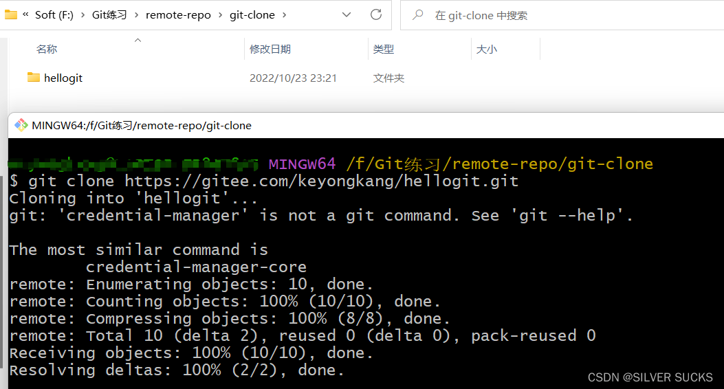 windows git仓库默认地址 git仓库在哪里_1024程序员节_13