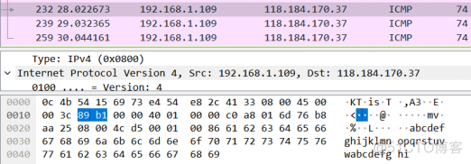 wireshark抓取SNI Wireshark抓取ping指令的数据包_网络_15