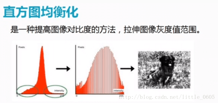 opencv边界拟合椭圆异常 opencv提取边缘坐标_灰度_02