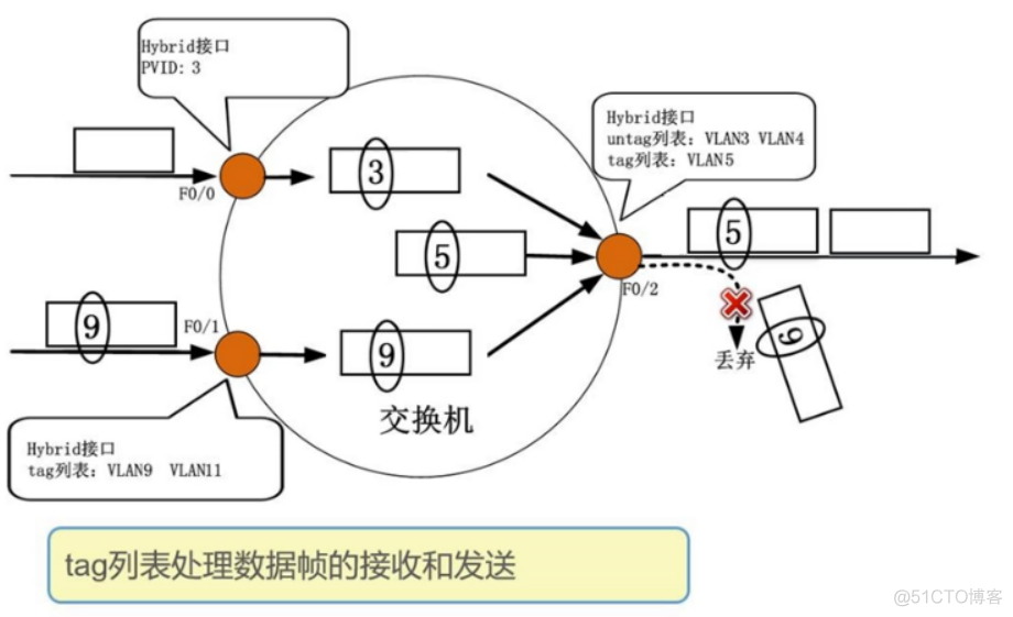 desg端口 端口hybrid_生成树_02