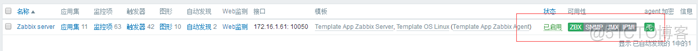 zabbix可用性为红色 zabbix可用性不亮_数据库_17