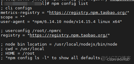 centos npm 安装nodejs centos nodejs安装及环境配置_centos npm 安装nodejs_02