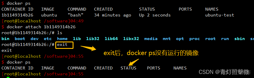 虚拟机CentOS7安装gparted 虚拟机centos7安装docker_Docker_06