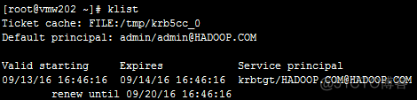 hdfs kerberos变量 hdfs kerberos认证_客户端_14