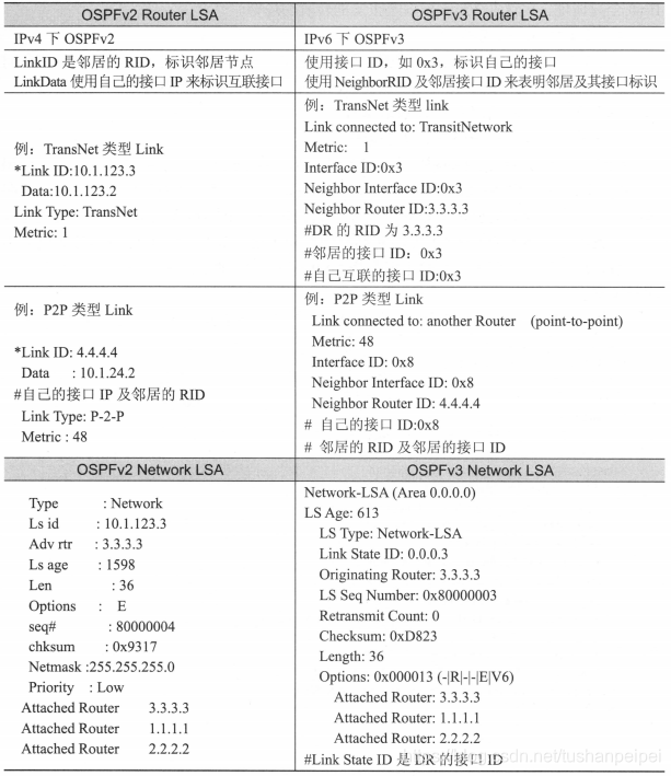 stp和ospf的区别 ospf与ospfv3_OSPFv3_02