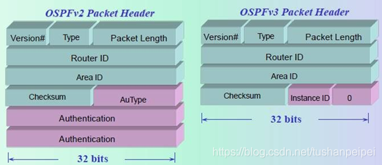 stp和ospf的区别 ospf与ospfv3_stp和ospf的区别_05