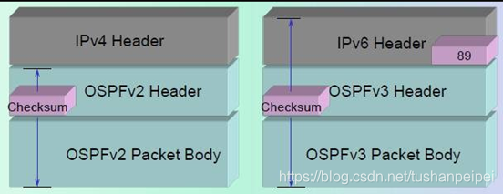 stp和ospf的区别 ospf与ospfv3_路由协议_06