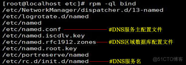 centos服务器更换域名解析服务 centos 域名服务器_开发工具