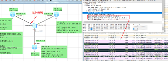 ospf协议网络的指定路由器与备份指定路由器top图 ospf路由协议配置实验原理_链路_13