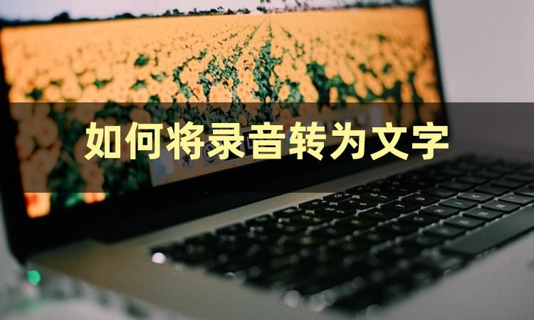 录音apkdemo 录音转文字_可编辑_02