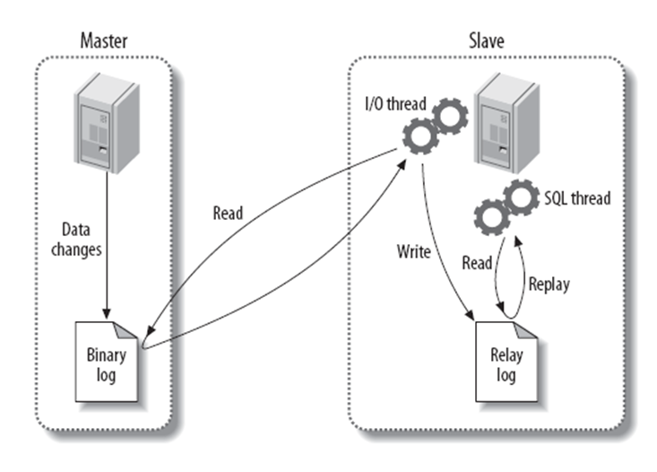 postgresql 主从复制检查 mysql主从复制的实现需要_mysql