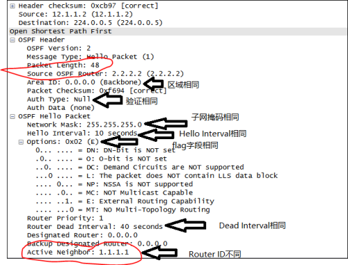 ospf邻居信息表 ospf邻居状态_链路_03