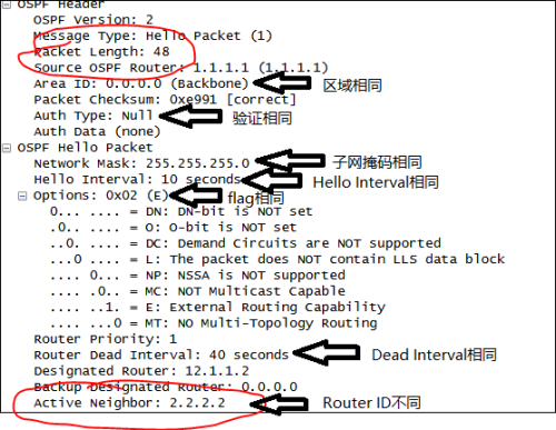 ospf邻居信息表 ospf邻居状态_OSPF_04