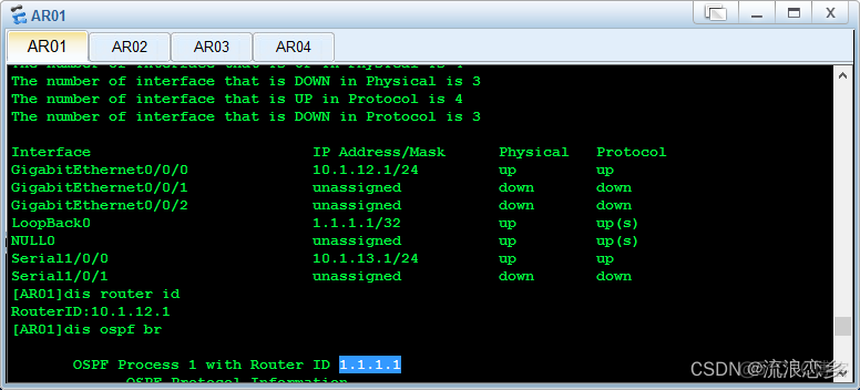 OSPF 协议分析实验总结 ospf协议实验报告_链路_04