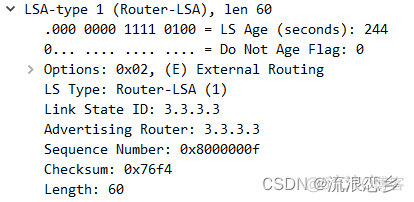 OSPF 协议分析实验总结 ospf协议实验报告_网络_25