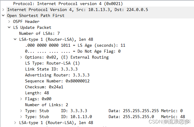 OSPF 协议分析实验总结 ospf协议实验报告_OSPF 协议分析实验总结_30