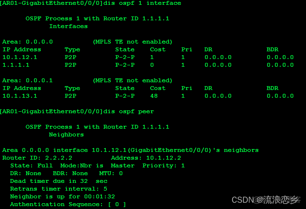 OSPF 协议分析实验总结 ospf协议实验报告_OSPF_36