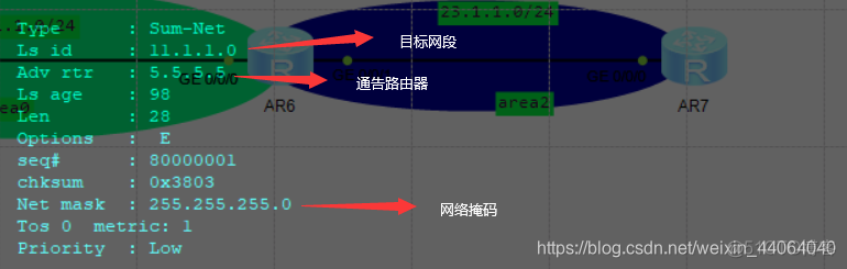 过滤OSPF 1类LSA ospf一类lsa类型_五类_05