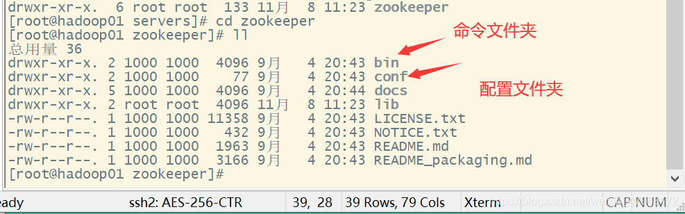 zookeeper集群启动脚本 zookeeper部署集群_服务器_09